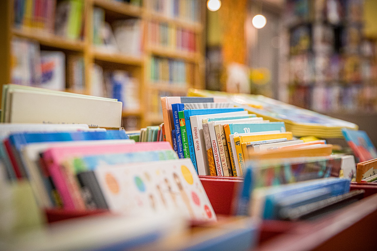 Câmara analisa proposta de criação de Festival Anual de Literatura de Ponte Nova