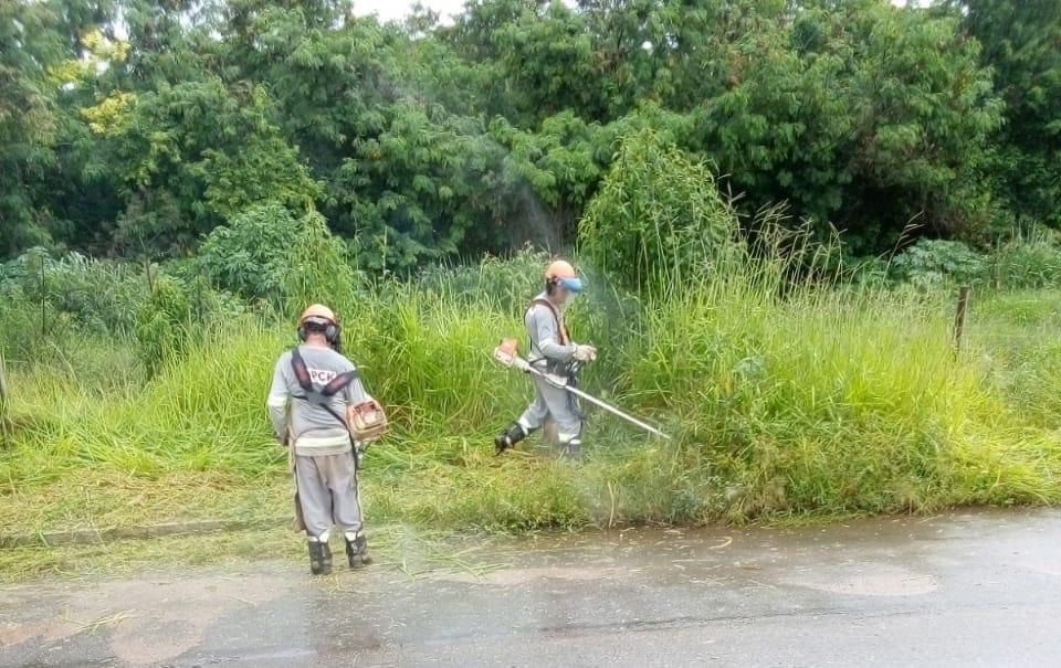 Limpeza pública urbana é motivo de requerimento de vereador