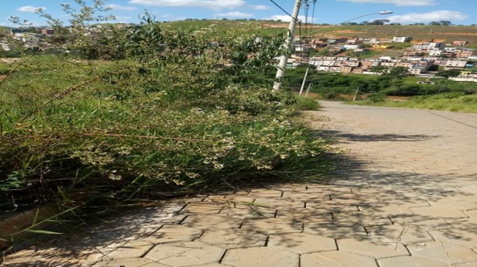 Vereador Sérgio Ferrugem apresenta demandas às Secretarias de Obras e de Meio Ambiente