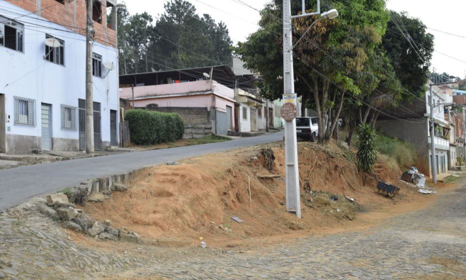 Vereadora Aninha de Fizica aborda a situação de árvores no São Geraldo