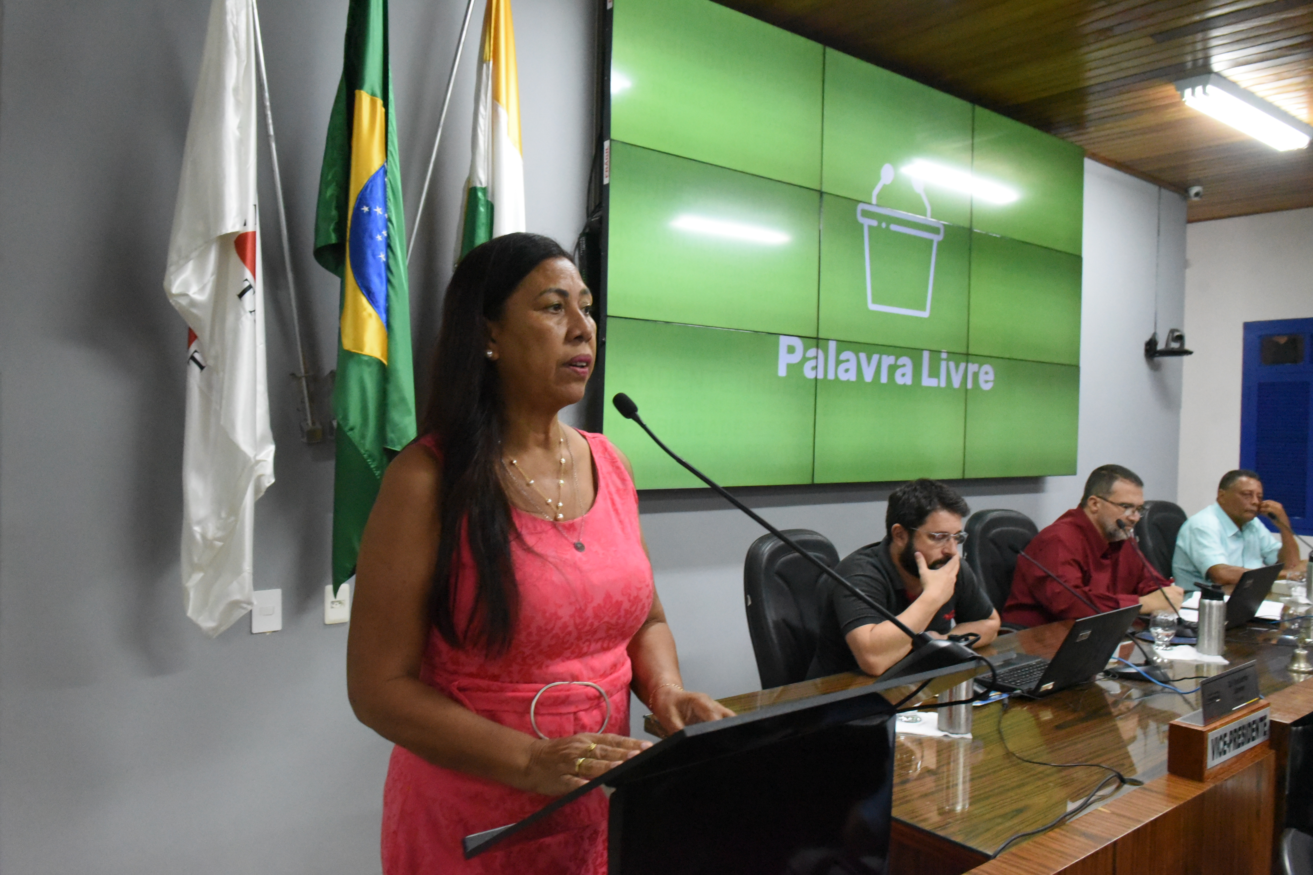 Vereadora fala sobre ônibus que pegou fogo de forma espontânea no último sábado (9)