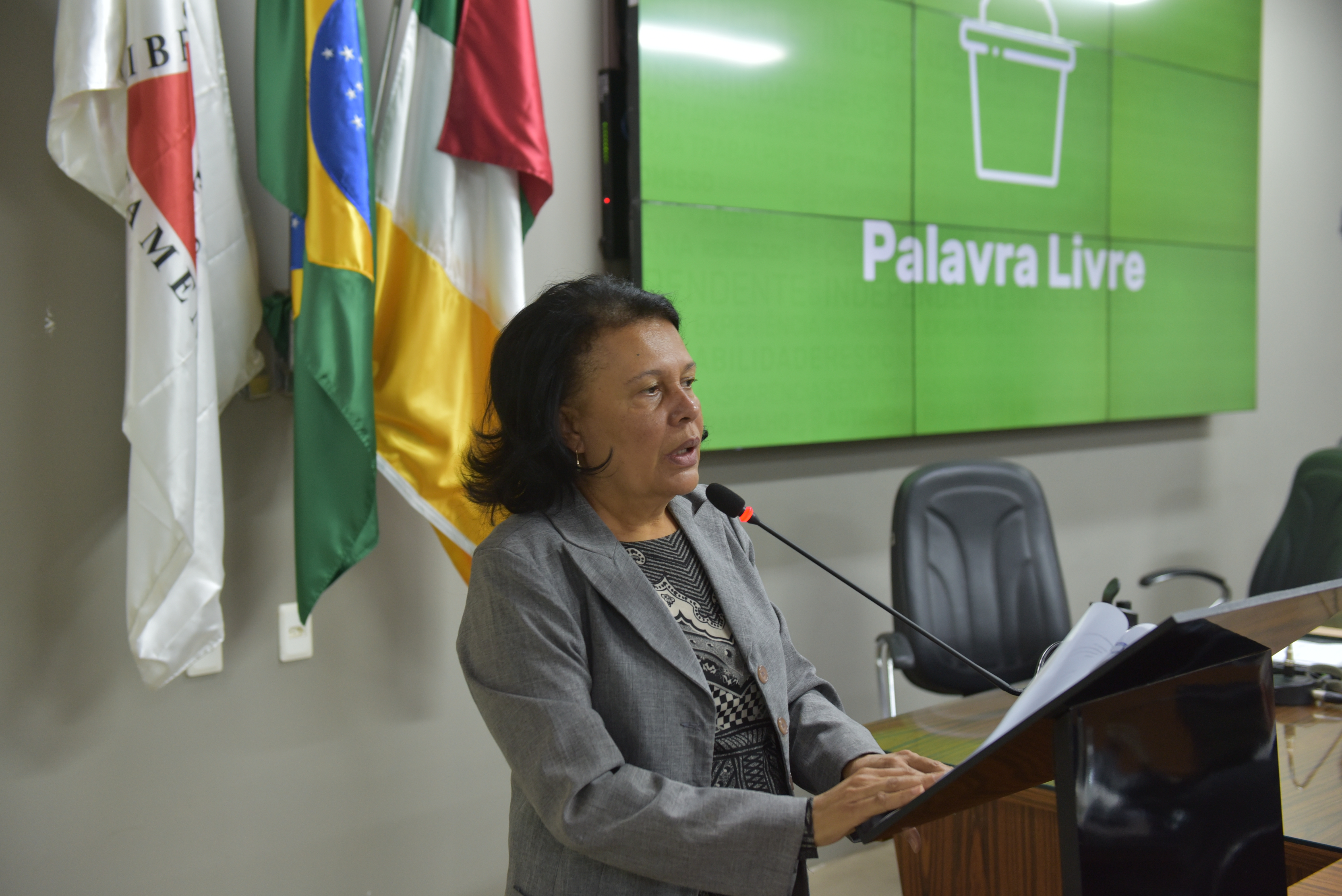 Vereadora pede melhorias para o distrito do Pontal