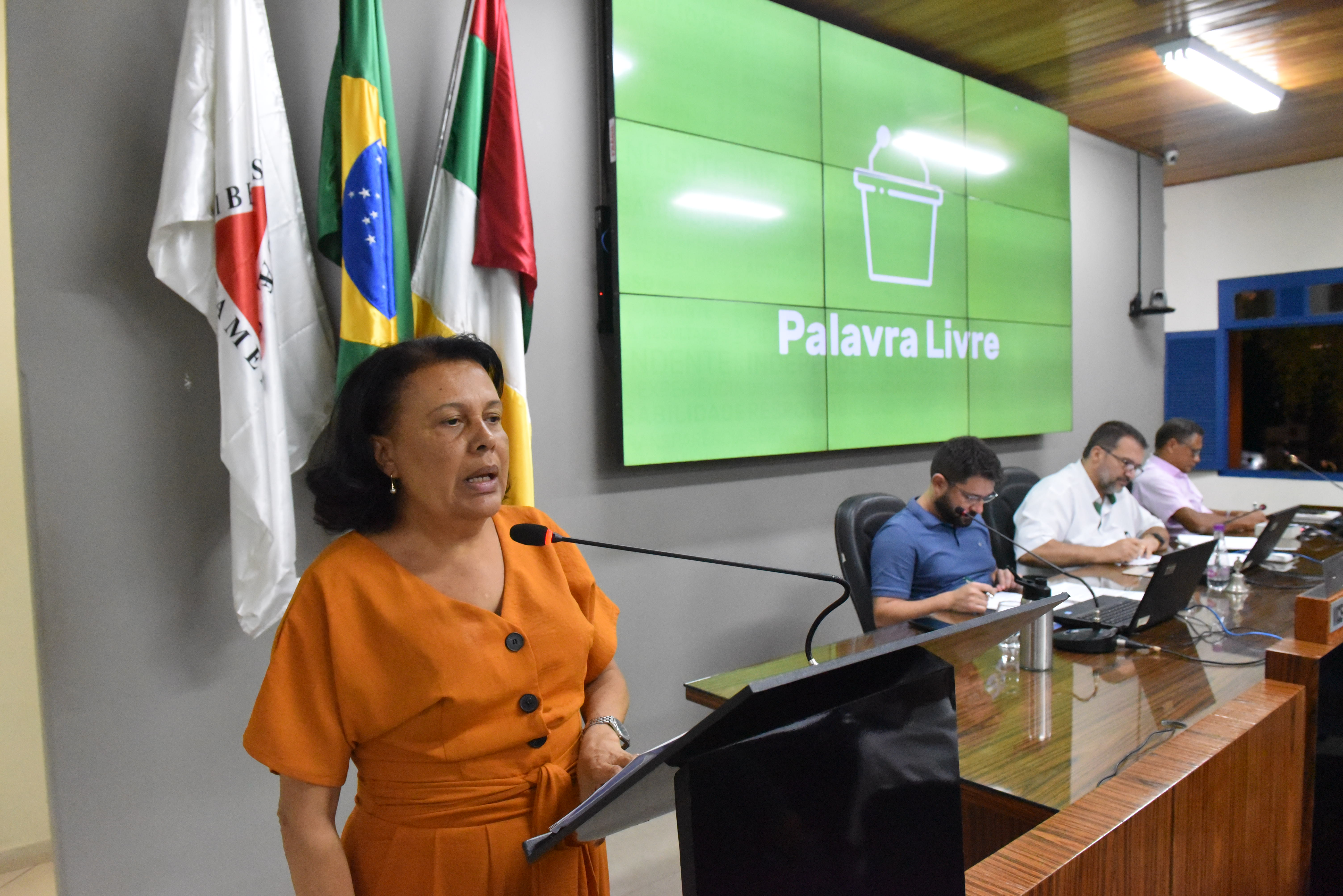 Vereadora questiona Prefeitura sobre construção de ponte na Colônia da Pedra 