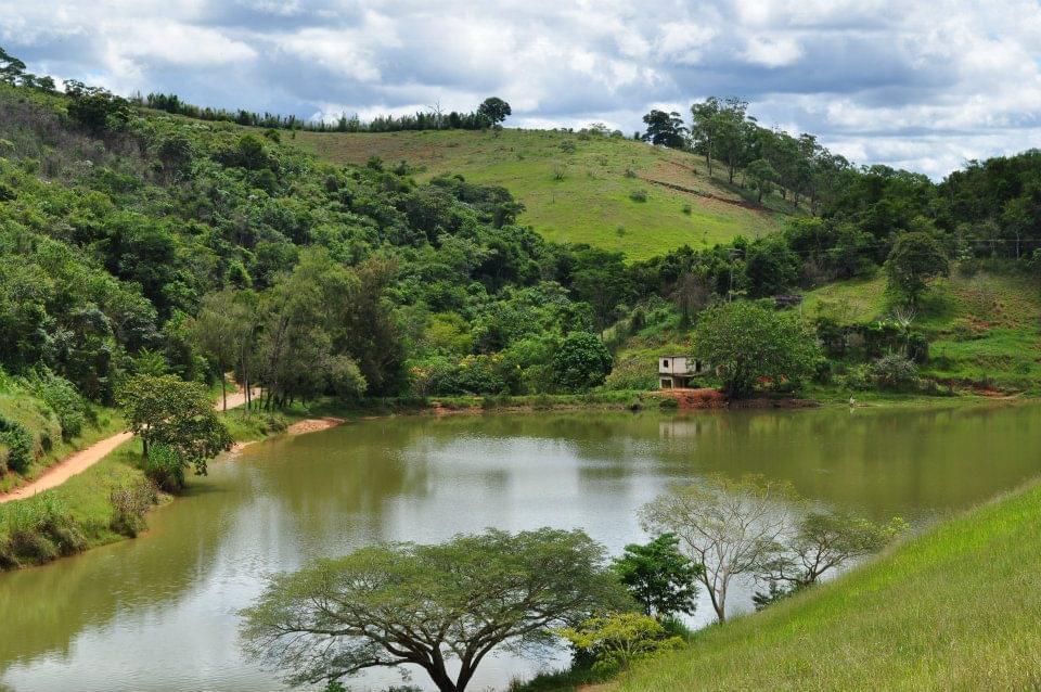 Vereadores querem relatório de recursos usados na reconstituição vegetal em PN