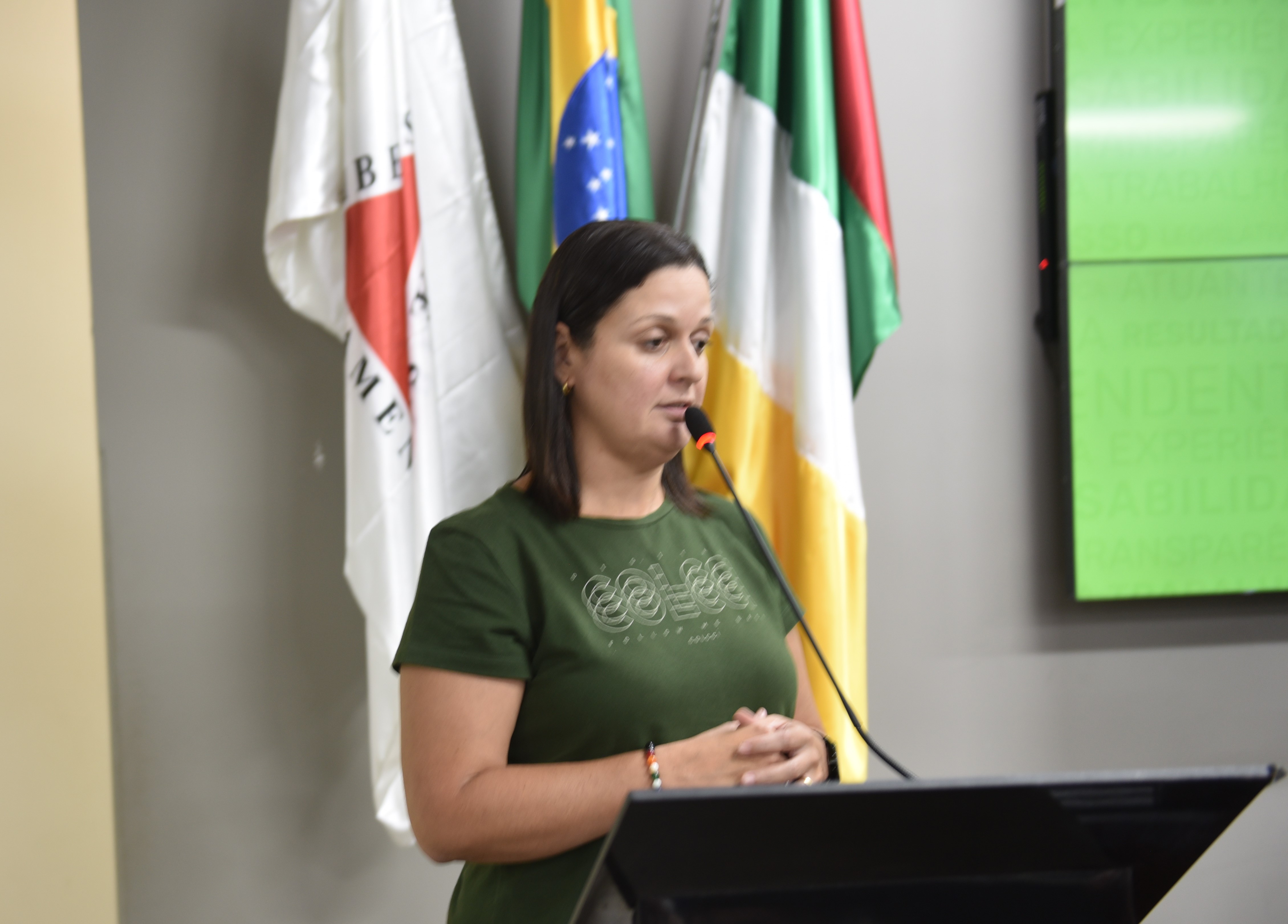 Vereadora quer notificação para proprietário que ateou fogo em lote no bairro Santo Antônio